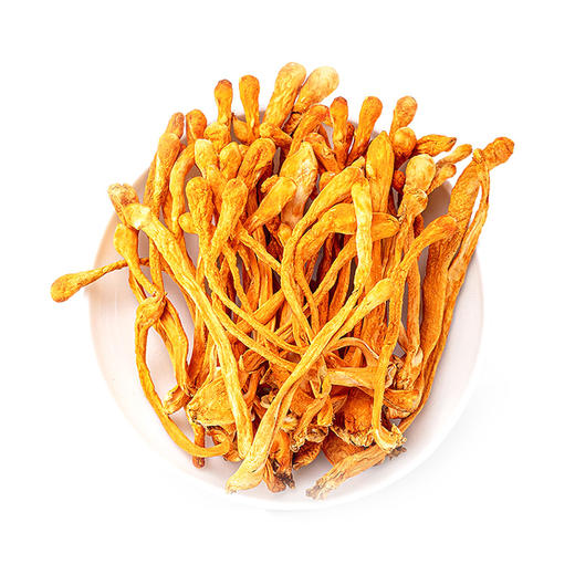 东山岛丨虫草花  100g 商品图2