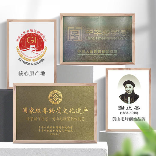 谢裕大黄山毛峰匠心800系列袋装250g 商品图4
