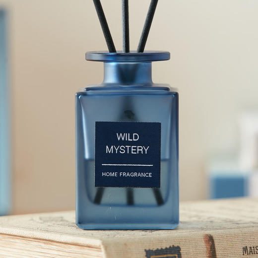 藤条无火室内扩香房间卧室卫生间香薰 乔治 商品图7