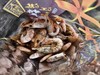 硇洲虾干 商品缩略图1