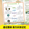 1-9年级中华文化1200问漫画百科常识阅读书课内课外常考小学初中通用儿童文学传统文化历史生物地理科学教辅教材 商品缩略图3