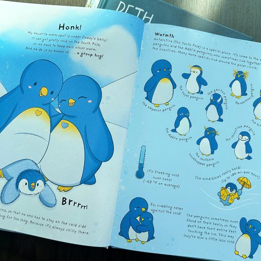 【Clavis】Frisky Families! Penguin Pip’s Ice-Cold Seek and Find Book 原版英文儿童绘本 商品图2