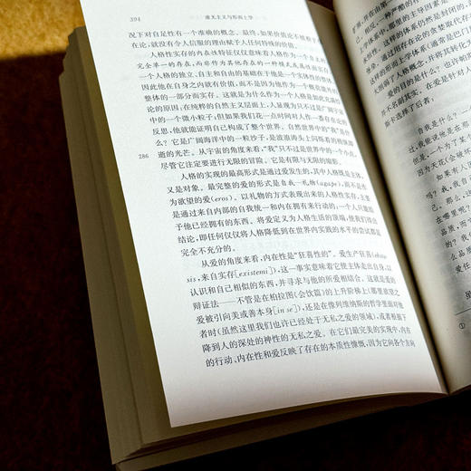 虚无主义与形而上学 虚无主义批判译丛 维托里奥·波森蒂 六点图书 商品图12