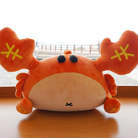 【混知推荐】青岛有钳蟹变形颈枕