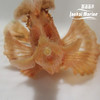 海龙王-红 商品缩略图4