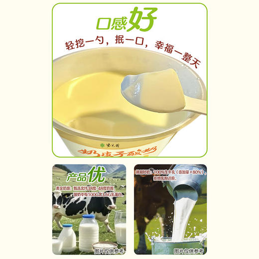 紫光园奶皮子酸奶北京特产酸奶节日送礼120g *7盒 商品图6