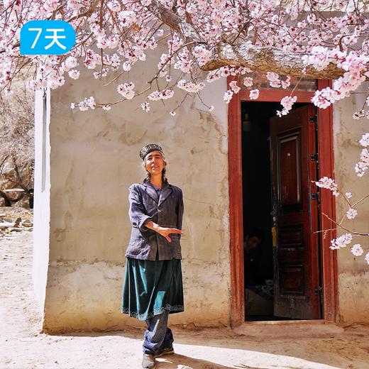 第二届帕米尔高原杏花徒步节｜徒步南疆之春 冰川与杏花的碰撞 7日 商品图1