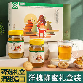 老山绿色洋槐蜂蜜500g*2瓶礼盒