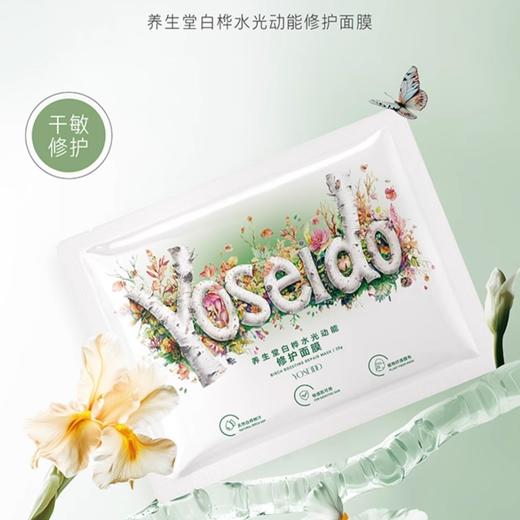 【商城赠品】养生堂桦树汁白桦水光动能修护面膜 商品图0
