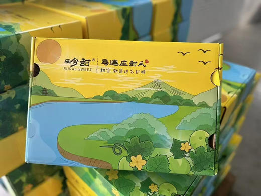 马连庄小甜瓜
皮薄脆嫩，自带蜜香，果肉细腻无渣，连籽都软绵香甜，真正的瓜中珍品[玫瑰] 商品图3