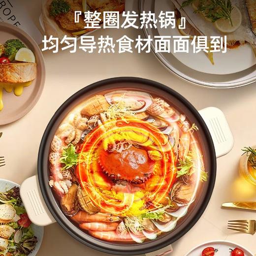 志高电煮锅电火锅多功能电热锅一体锅家用电蒸锅宿舍鸳鸯小火锅 商品图2