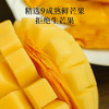 【代发】食味的初相芒果干芒果肉50g/袋休闲果干果肉零食（不支持7天无理由） 商品缩略图4