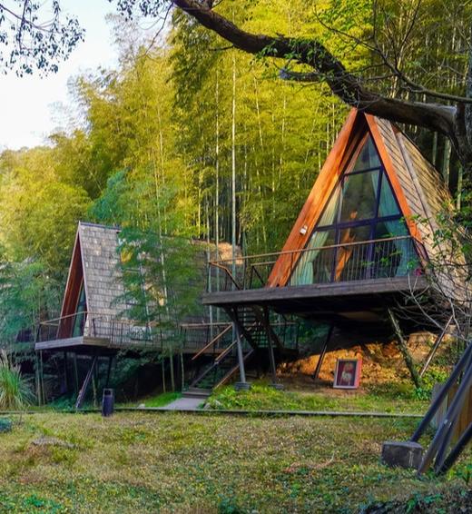 【浙江余姚】树蛙部落寒假早鸟直降特惠套餐3天2晚 竹海冬塾 商品图5