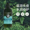 欧舒丹L’occitane草本洗发水护发素 去屑控油多规格 商品缩略图1