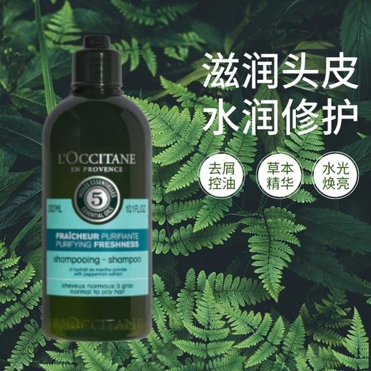 欧舒丹L’occitane草本洗发水护发素 去屑控油多规格 商品图1