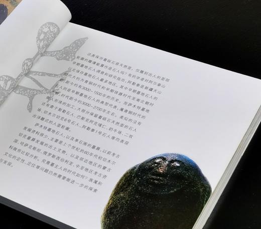 【绝版】《草原民族文化的灵魂：新疆草原文化遗址考察》，24开平装，铜版彩印，张平编著，新疆人民出版社2006年一版一印，232面，定价38.8元，售价30元。 商品图7