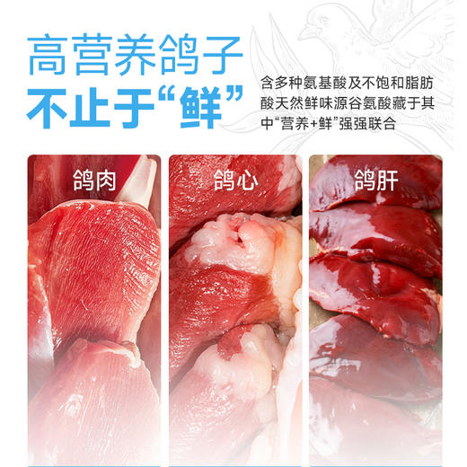 雷米高澳丽得双鲜猫粮鲜肉鱼鸽肉全价全阶段成幼猫营养易消化美毛 商品图2