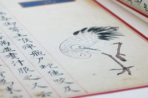 明彩绘《食物本草》线装六卷本 商品图5