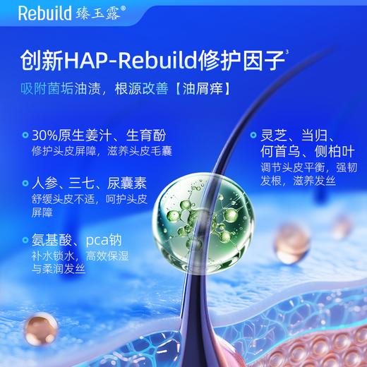 免费试用！【每购1瓶送价值49元同款100ml1瓶试用，多买多送】臻玉露Rebuild生姜氨基酸润养洗发露、护发精华乳、润肤沐浴露 商品图5