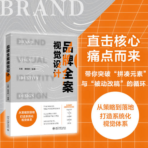 品牌全案视觉设计 王鹏 蔡世新 编著 北京大学出版社 商品图1