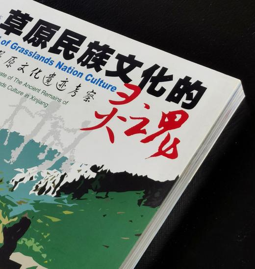 【绝版】《草原民族文化的灵魂：新疆草原文化遗址考察》，24开平装，铜版彩印，张平编著，新疆人民出版社2006年一版一印，232面，定价38.8元，售价30元。 商品图1