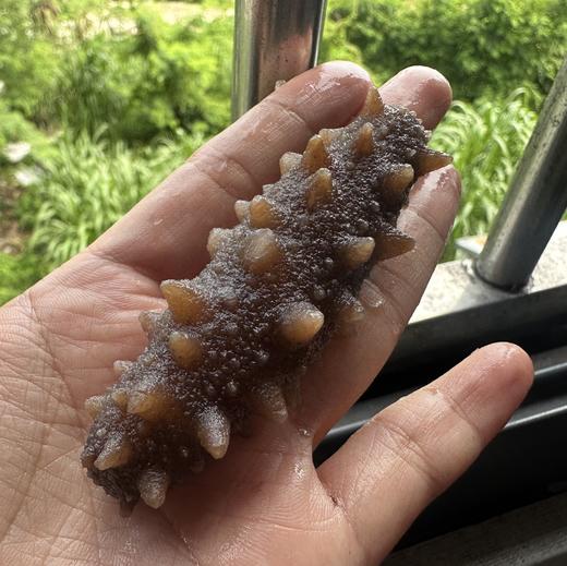 新年海鲜礼盒 商品图4