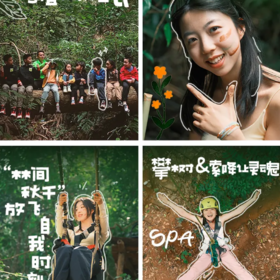 5天【版纳去野记】全网独家升级路线，版纳&普洱两地解散，出行更自由，雨林秘境独家私享