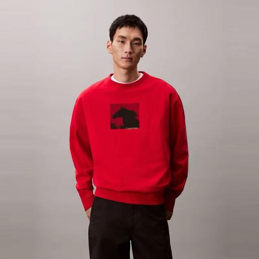 CKJ  男  卫衣  4LE286GXAT 商品图0