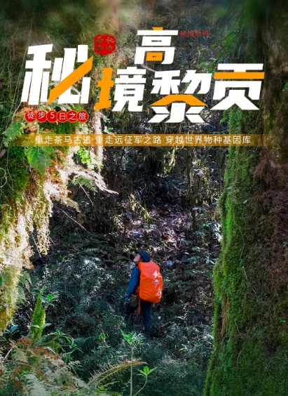 【秘境高黎贡】高黎贡山 毛毛球森林 和顺古镇 玉璧古道 5日行程（价格为定金）