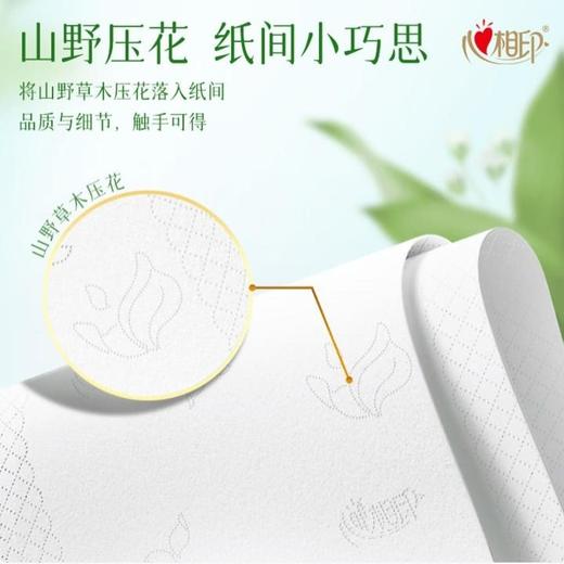 心相印 向野而生90抽四层抽纸 单包装 商品图2