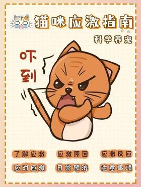 猫咪应激指南|养猫人一定要知道的事