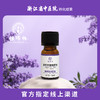 馥瑞橼薰衣草酣睡精油（扩香版）薰衣草酣睡精油（扩香版）10ml*1瓶 商品缩略图0