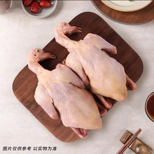 【1只装】自提-5~6两/只（不含内脏）天翔达 新鲜现杀-农家散养活力乳鸽 真空冷链锁鲜发货   JHA031-1 商品图0