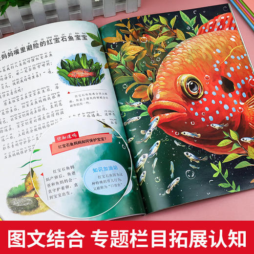 【内购】《让孩子感受生命成长的动物科普绘本》 全8册 商品图5