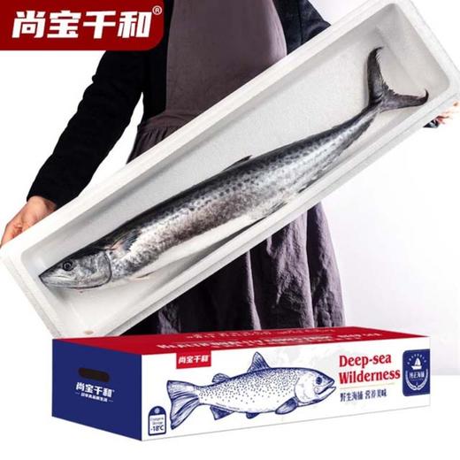 【顺丰快递】胶东大鲅鱼礼盒 渤海湾新鲜海捕 鲜嫩可口 鱼眼明亮 表皮透亮 新鲜美味 BHFT 商品图1