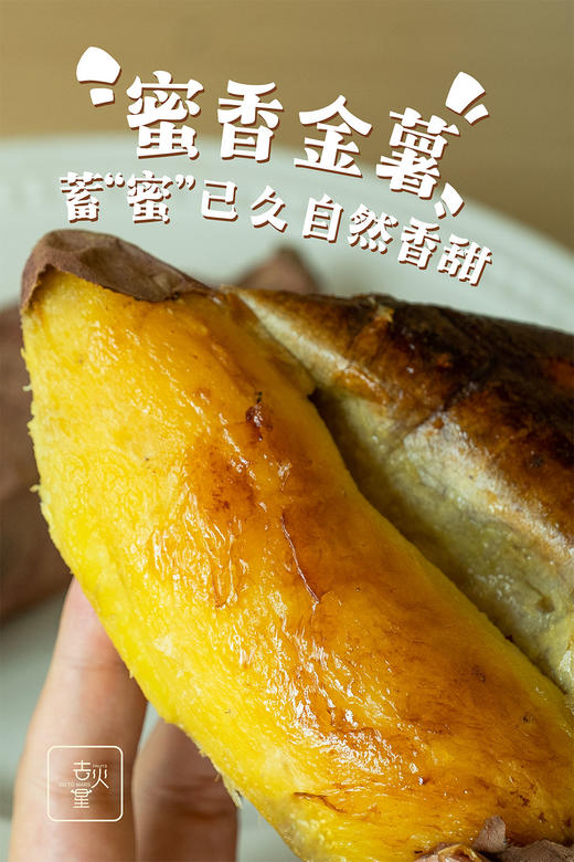【包邮】燕山山脉 蜜香金薯 番薯甜度可达55度 肉黄心明亮！皮薄，轻松可撕 商品图1