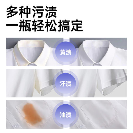 净狮衣领净 商品图4