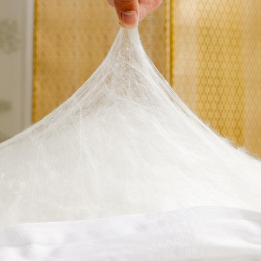 【分销】【桐乡蚕缘蚕丝被】桑蚕丝（长丝） 蚕丝被国标起草单位，真正源头厂家直发，有内衬和手提袋， 结婚陪嫁置办新被推荐 商品图1