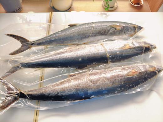 【大鲅鱼】4-6斤/条，22元/斤 商品图0