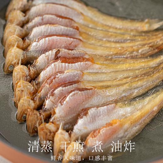 舟山带籽鲚鱼干 | 东海带籽凤尾鲚鱼 鱼眼透亮 鱼鳃鲜红 条条带籽颗粒分明 本鲜本味 深海鱼特有的甘醇 商品图4