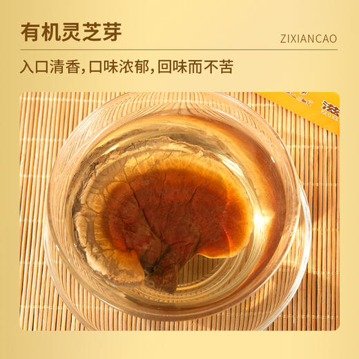 【99元2盒】滋仙草有机灵芝芽 商品图3