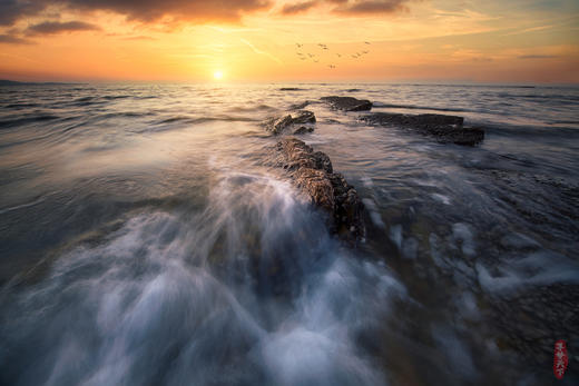 4月20日春摄辽东 6 日｜赏旅顺烂漫樱海，拍瓦房店奇绝海蚀，登虎山长城，观丹东万鸟齐飞 商品图9