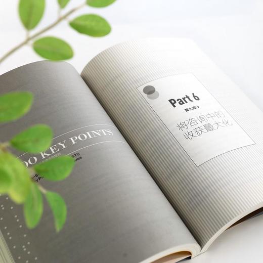 单次咨询：100 个关键点与技巧（原著第二版） 商品图3
