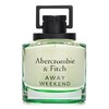 阿贝克隆比 & 费奇 - Away Weekend 淡香水喷雾 商品缩略图2