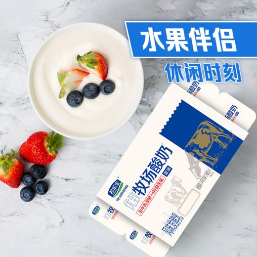 君乐宝优质牧场原味90g*16酸奶 商品图1