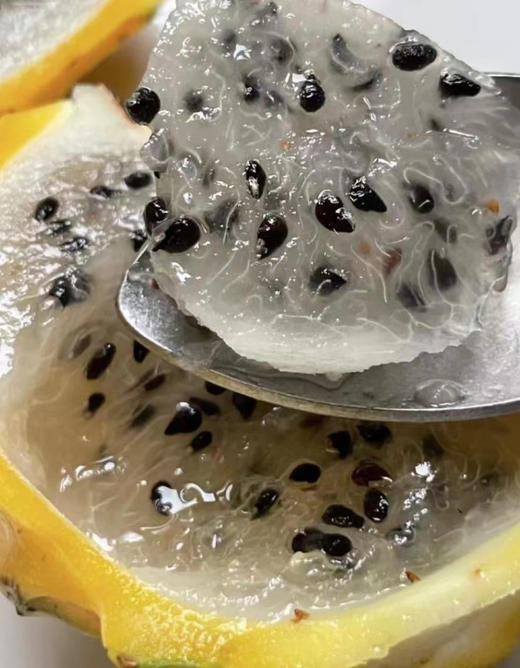 【黄金燕窝果】十大豪奢水果之一！长在树上的“冰糖燕窝”➡️口感嫩滑清甜，多汁爽口 商品图3