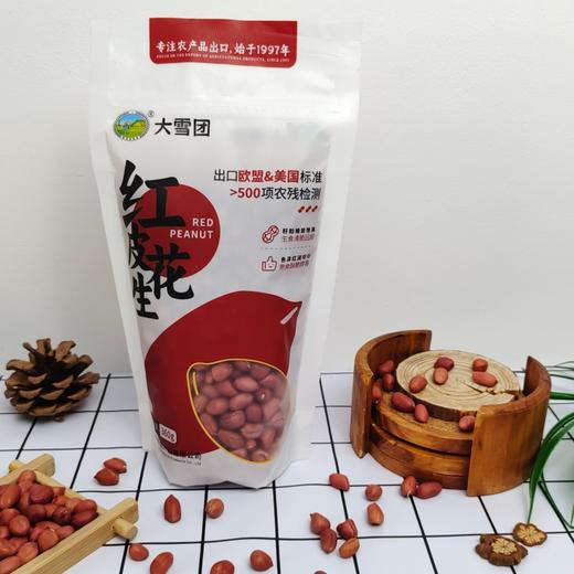 东北红皮花生 优选当季新生产 纯净无杂质 自然晾晒 甘甜清香 口味鲜美 颗粒饱满 商品图4