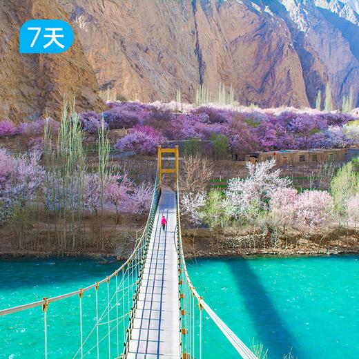 第二届帕米尔高原杏花徒步节｜徒步南疆之春 冰川与杏花的碰撞 7日 商品图4