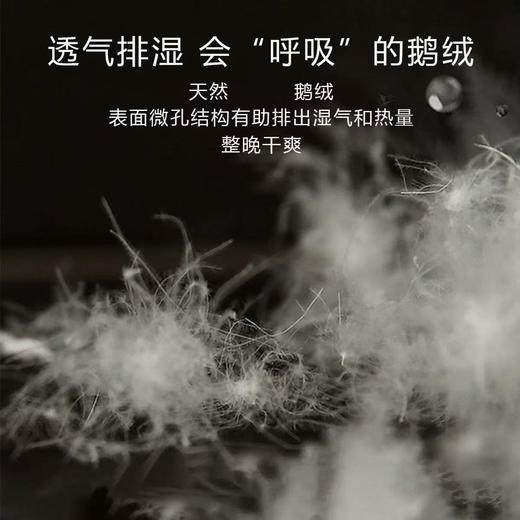 星级酒店鹅绒枕芯单人家用护颈椎不塌陷一只装 商品图3