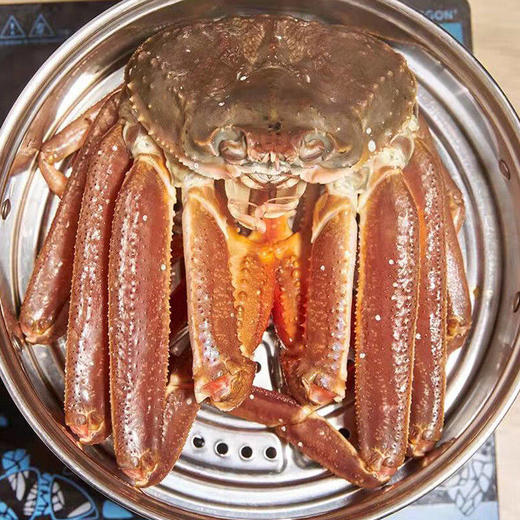 【顺丰快递】俄罗斯进口雪蟹礼盒 纯净冷水海域 壳薄肉厚 肉质细嫩 鲜味浓郁 清甜多汁 口感纯正 营养丰富 商品图1